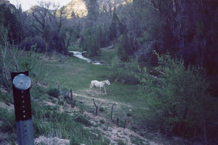 usa_1990-05-17 00-00-01_r04f27